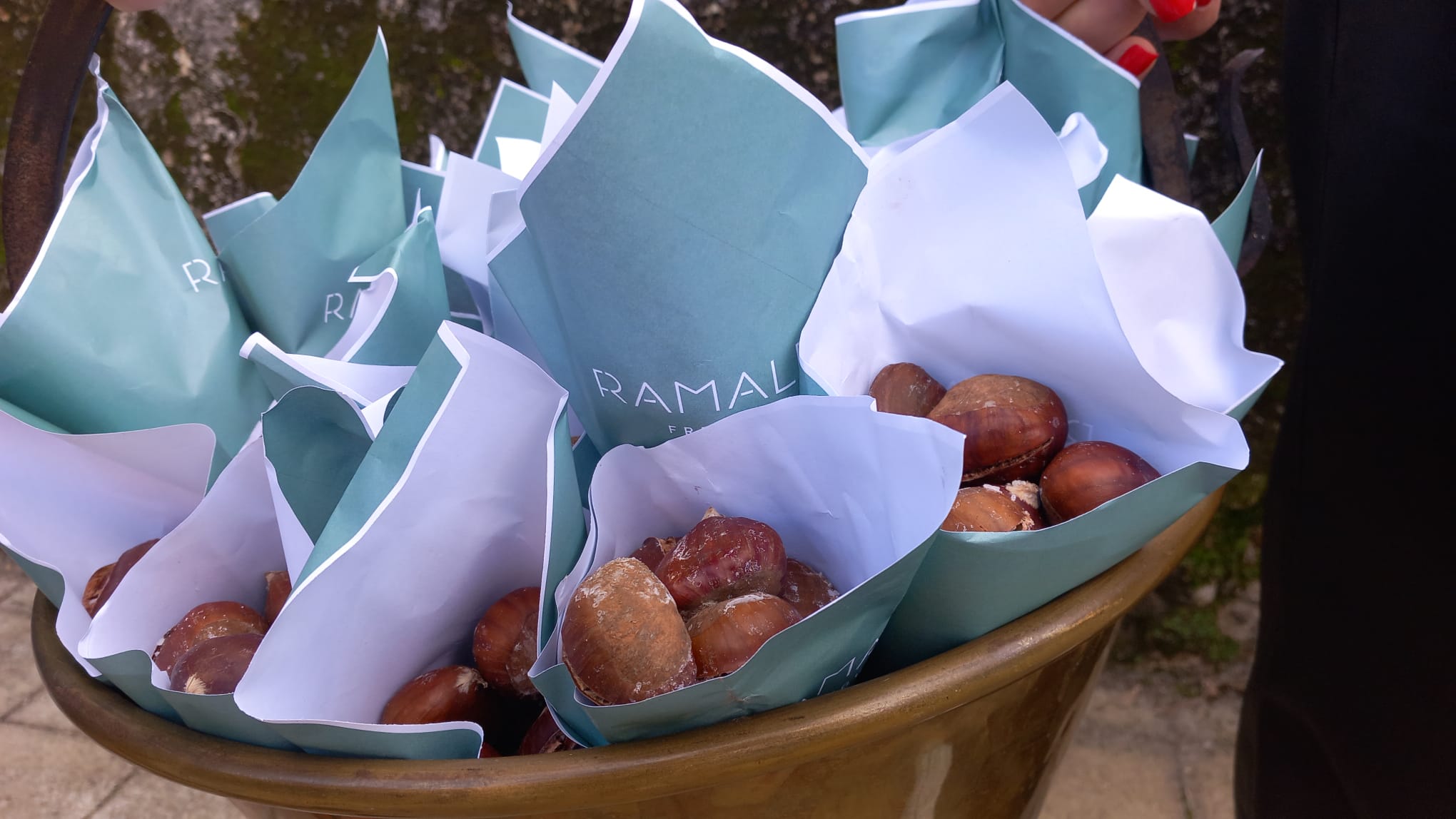 𝗗𝗶𝗮 𝗱𝗲 𝗦𝗮̃𝗼 𝗠𝗮𝗿𝘁𝗶𝗻𝗵𝗼 | 11 de novembro