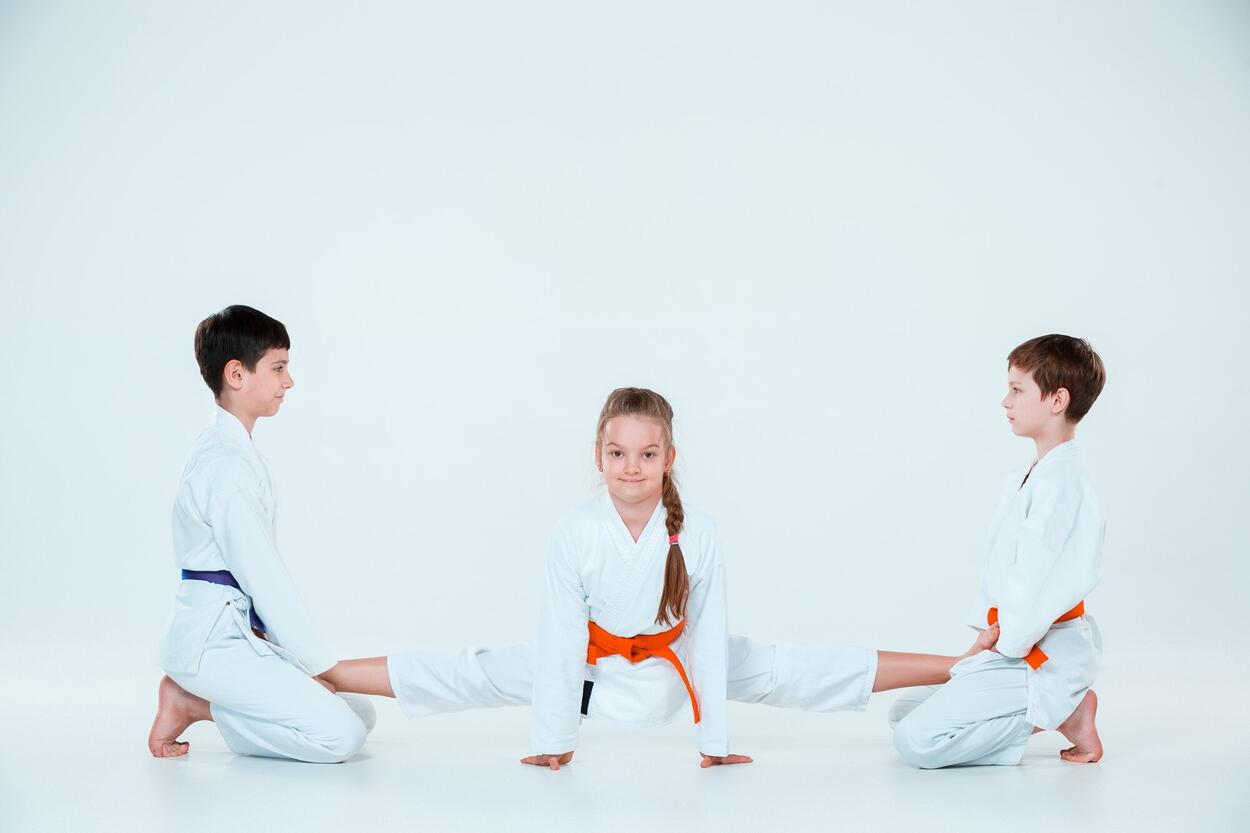 grupo-de-meninos-e-meninas-no-treinamento-de-aikido-na-escola-de-artes-marciais-estilo-de-vida-saudavel-e-conceito-de-esportes_155003-5374
